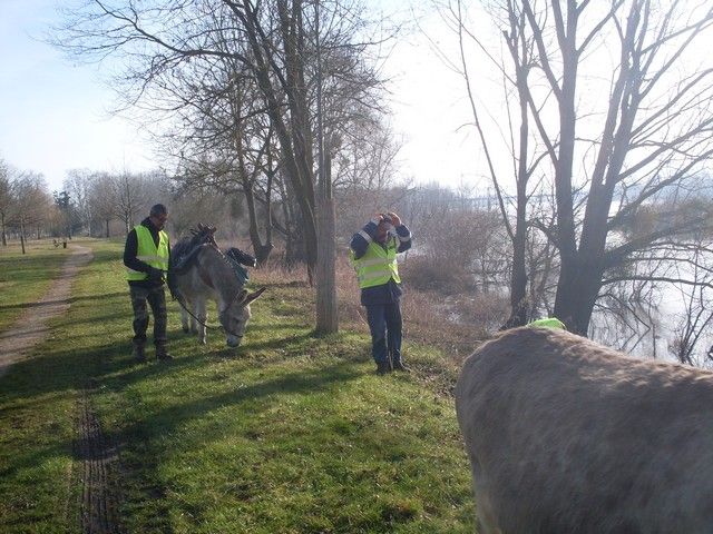 loire propre 2015 (6).jpg